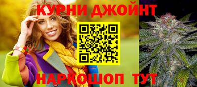 шишки Новозыбков